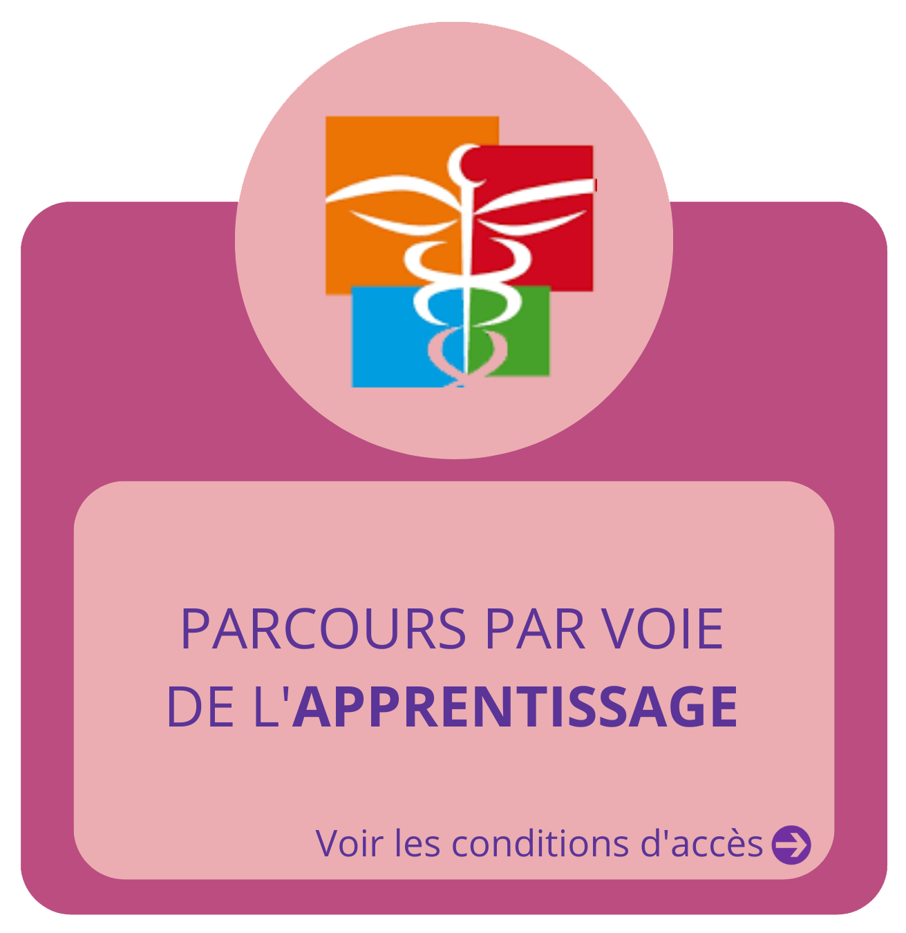 IFAP V apprentissage