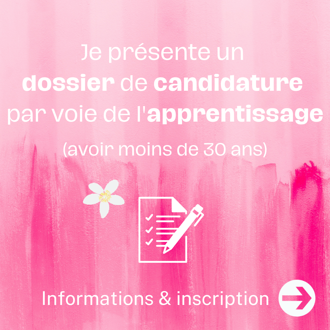 IFAP dossier apprentissage