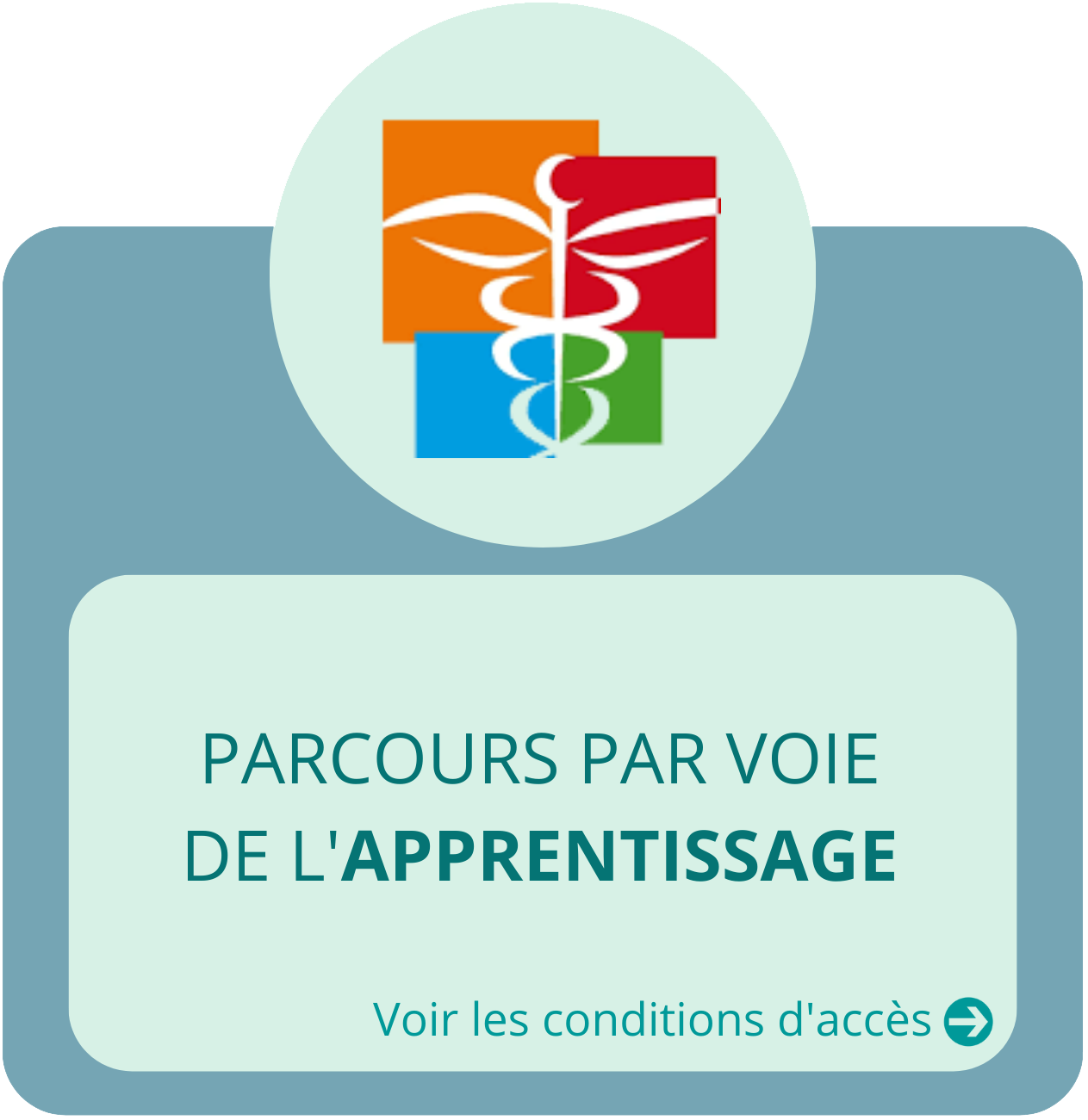 IFAS V candidat apprentissage