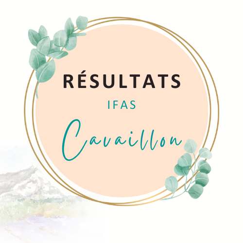 Résultats cavaillon