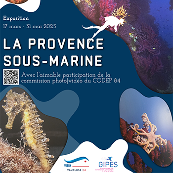 expo sous marine